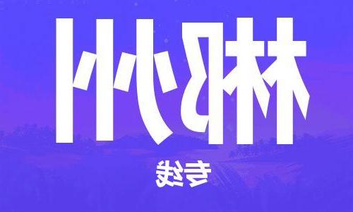 天津到郴州物流公司-天津到郴州物流专线（所有货源/均可承运）