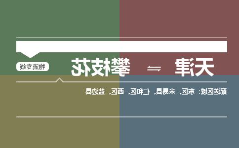 天津到攀枝花物流专线-天津到攀枝花货运公司（直-送/无盲点）